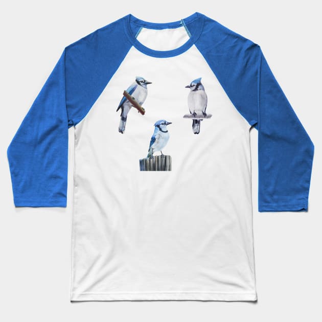 Painted Blue Jay set Baseball T-Shirt by EmilyBickell